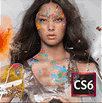 ADOBE&reg; Creative Suite&reg; 6 Design & Web Premium 